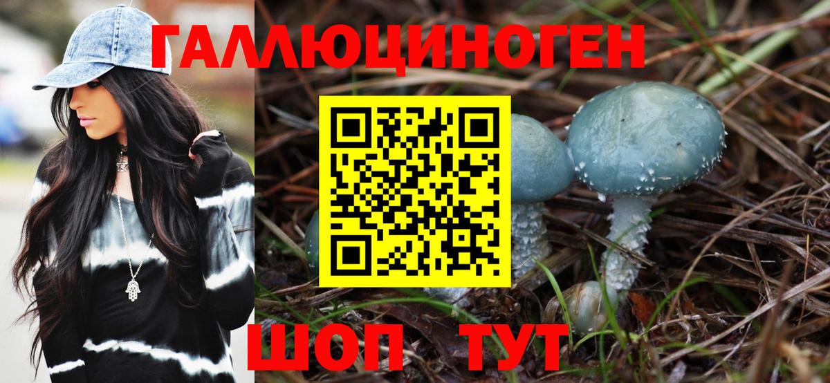 Галлюциногенные грибы Psilocybe  Вход с VPN  Знаменск  купить наркотики цена  Псилоцибиновые грибы Cubensis 