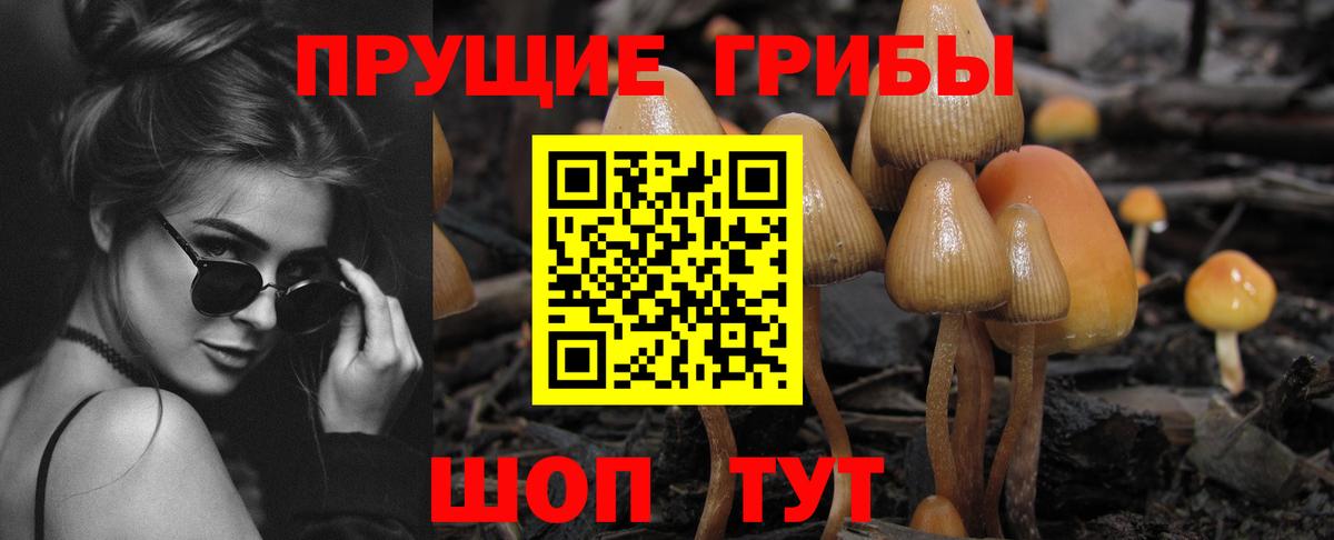 Галлюциногенные грибы мухоморы Знаменск